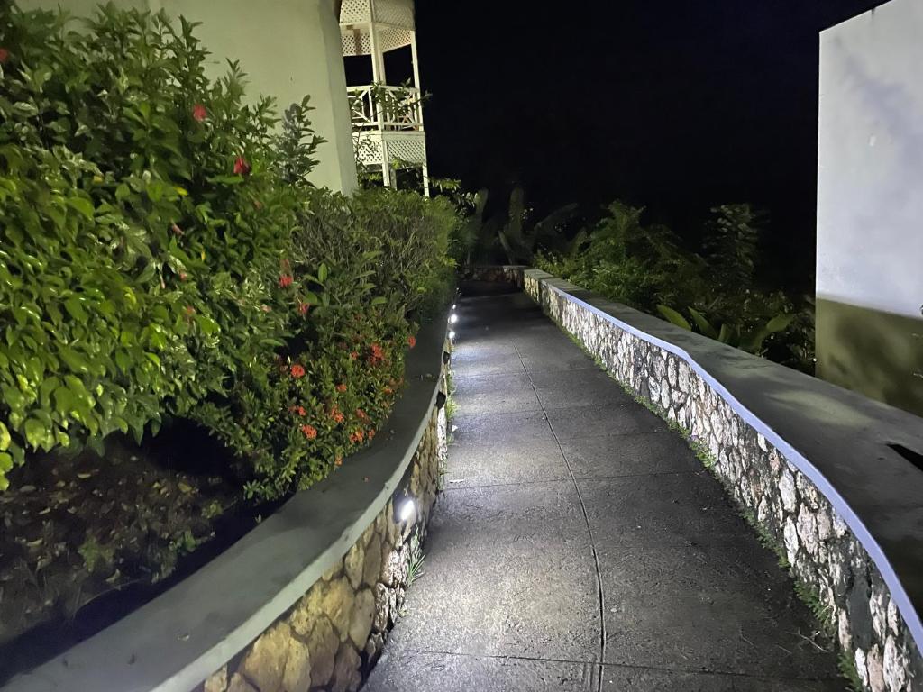 Zahrada ubytování Hummingbird Retreat - Luxury Oceanview Apt, 7-Minute Walk to Beach