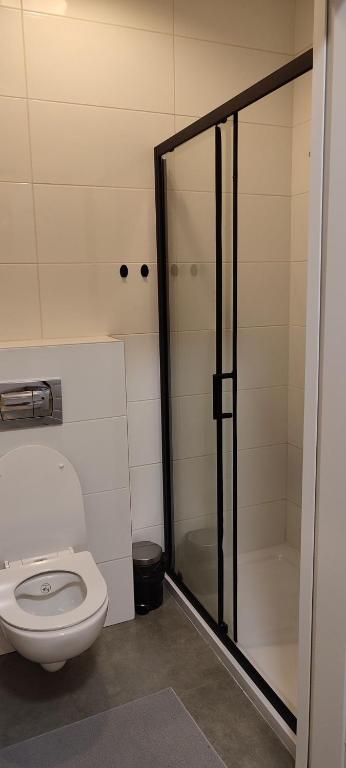 Apartamenty Wilga z całorocznym jacuzzi i letnim basenem - Double Or Twin Room With Private Bathroom