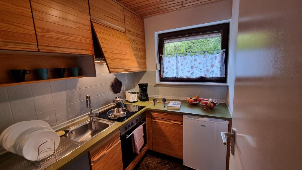 Kuchyň nebo kuchyňský kout v ubytování Germanus Ferienwohnung