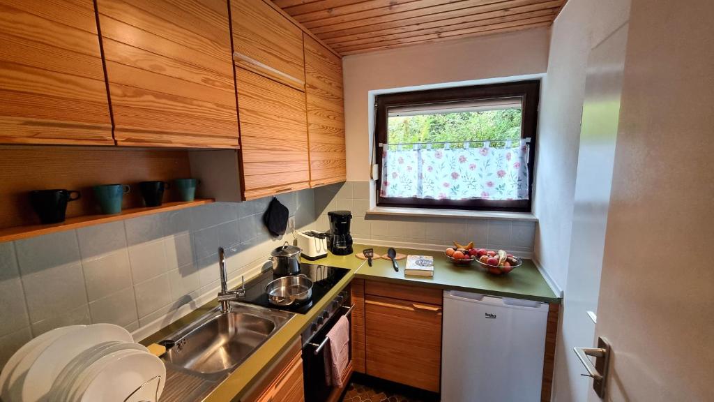 Kuchyň nebo kuchyňský kout v ubytování Germanus Ferienwohnung