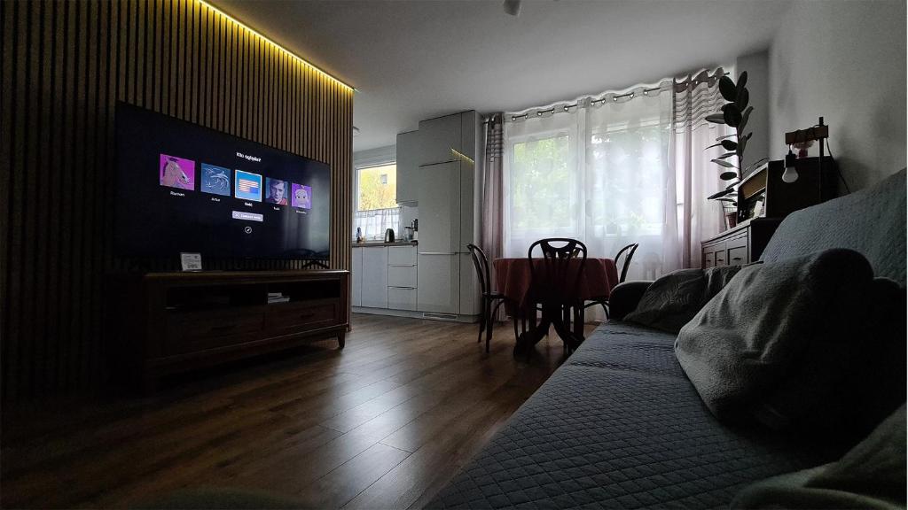 Spokojny Wypoczynek 5 في أوستروف فيلكوبولسكي: غرفة معيشة بها أريكة وتلفزيون