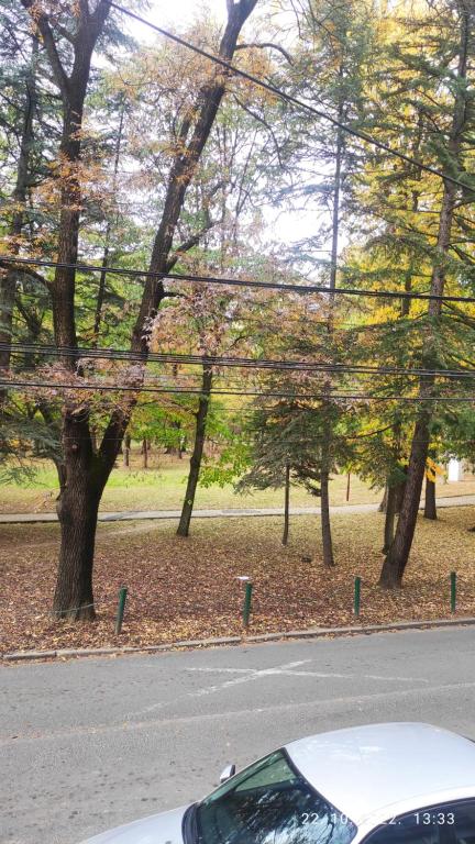 Příroda nedaleko apartmánu
