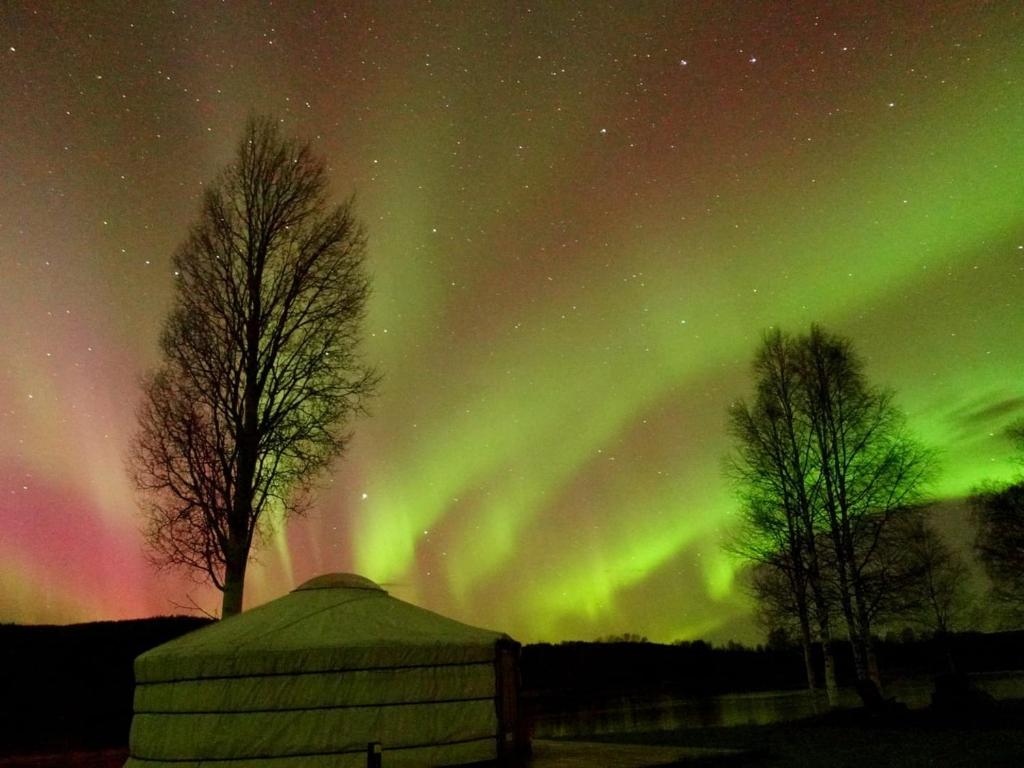 Fotografie z fotogalerie ubytování Yurt District v destinaci Rovaniemi