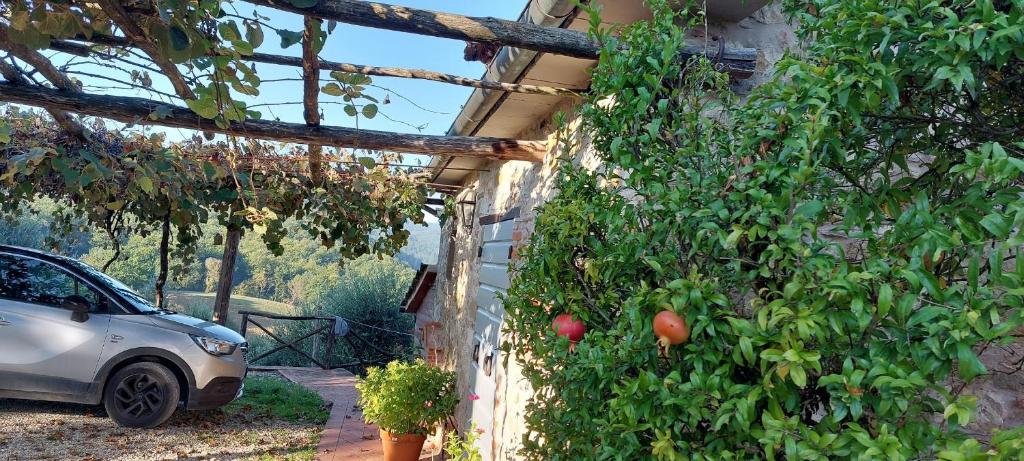 Agriturismo La Scarpaia - Suite Júnior