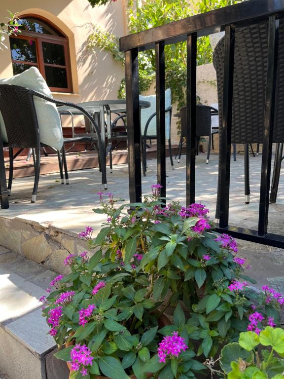 Candia Hotel - Resim 13