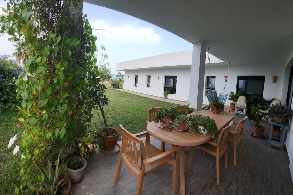 Zahrada ubytování Family house with nice garden 10min from Sanlúcar