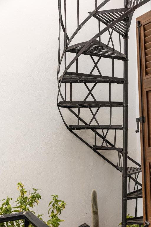 a metal shelf hanging on a wall with plants at Elizabeth's small apartment in Naxos Chora