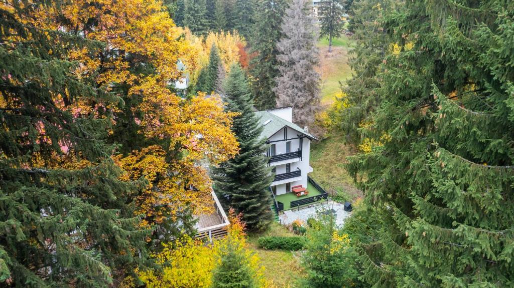 a house in the middle of a forest at Family TreeZ Premium Apartments in Poiana Brasov