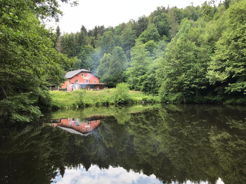 Příroda nedaleko apartmánu
