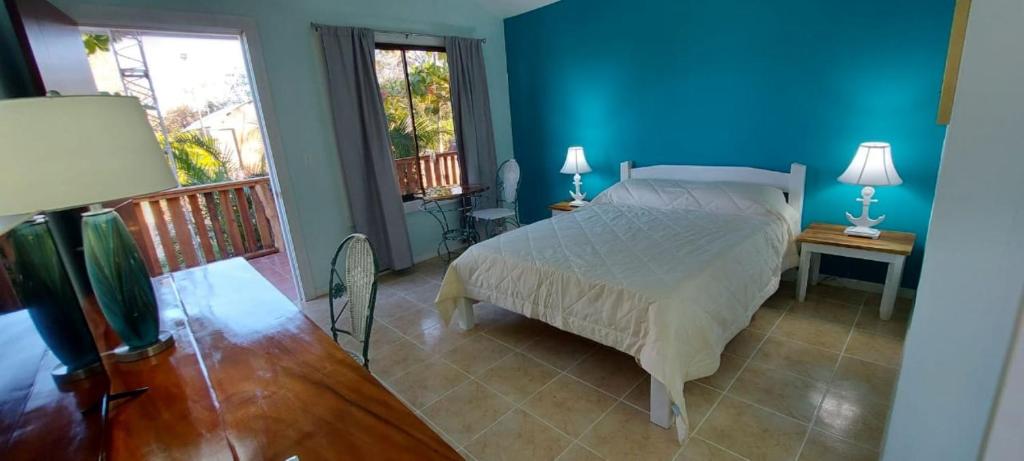 Blue Parrot Cabinas