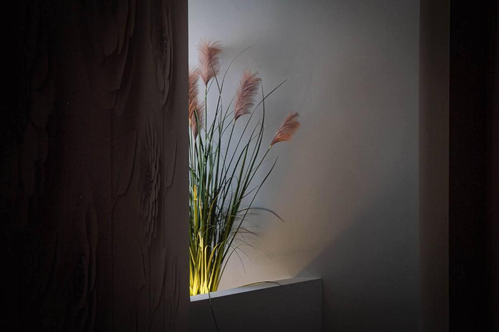 Foto dalla galleria di B&B ALLA NIVIERA ad Adelfia