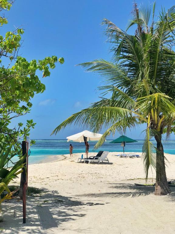 una playa con palmeras, sillas y sombrillas en TravelRim Maldives, en Dhiffushi