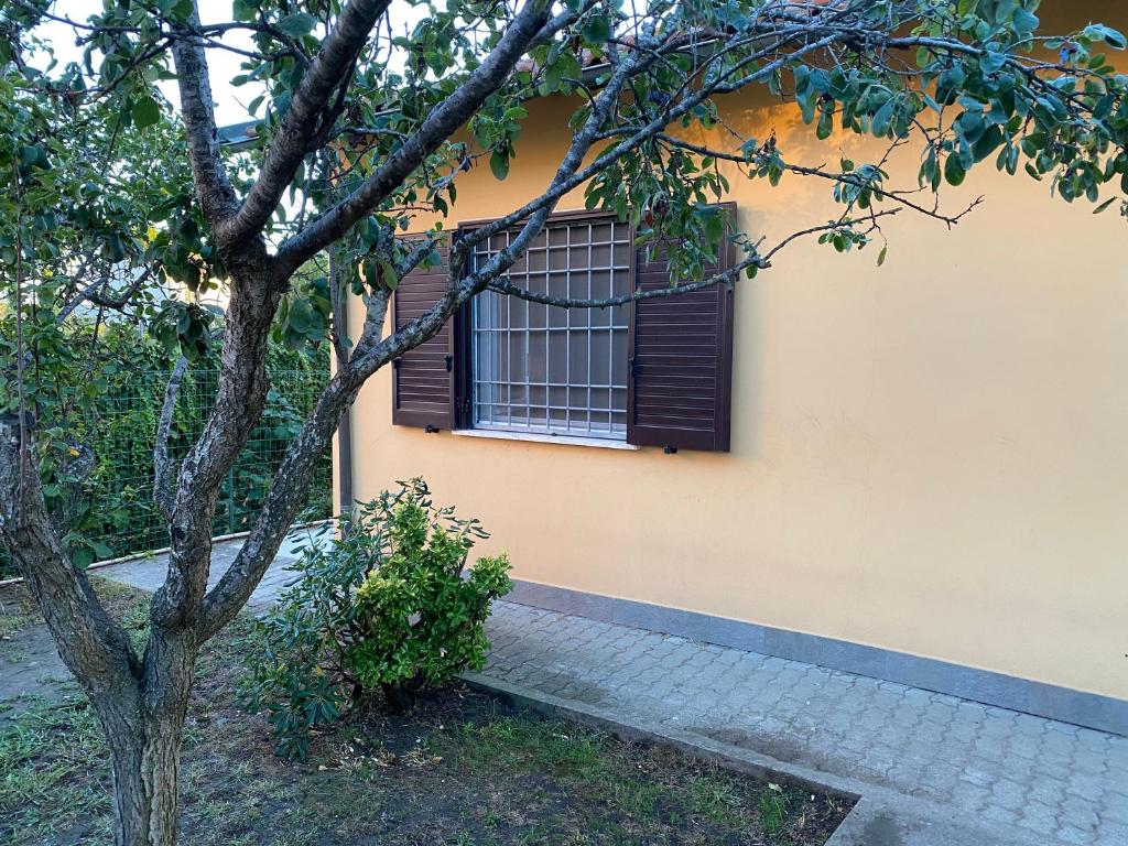 A garden outside Casa versilia