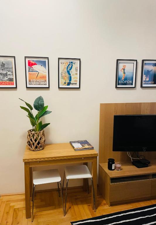 Televízia a/alebo spoločenská miestnosť v ubytovaní Studio B