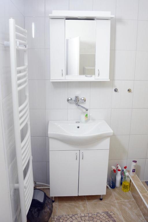 Koupelna v ubytování Apatin apartman