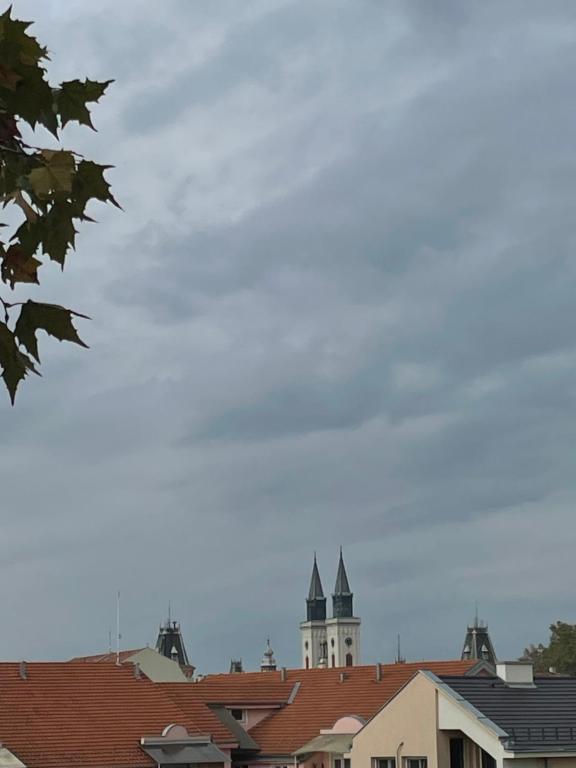 Imagem da galeria de Stan na dan Apartman Stella em Sombor
