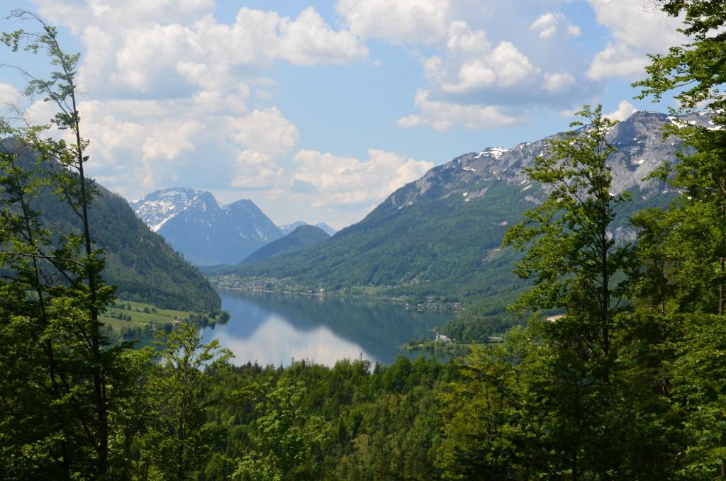 Příroda nedaleko apartmánu