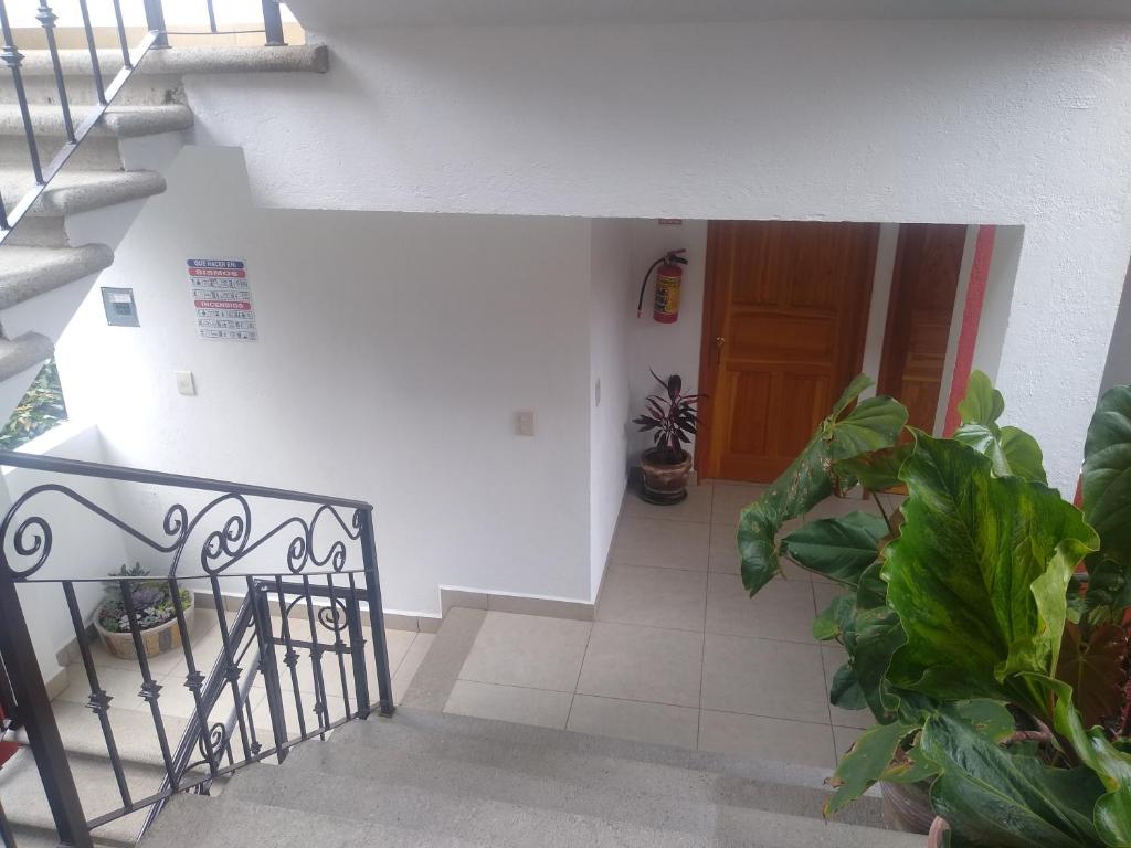 Fotografie z fotogalerie ubytování Hospedaje Anayauhcalli v destinaci Tepoztlán