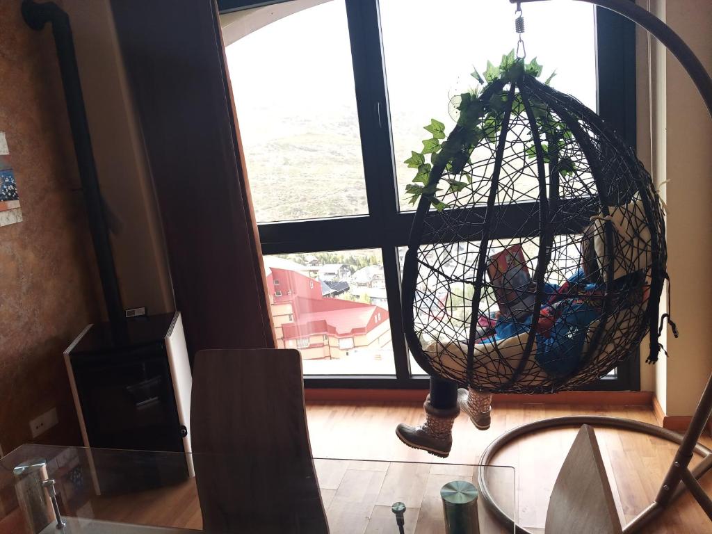 APARTAMENTO FAMILIAR Sierra DELUXE في سييرا نيفادا: زرع في سلة أمام النافذة