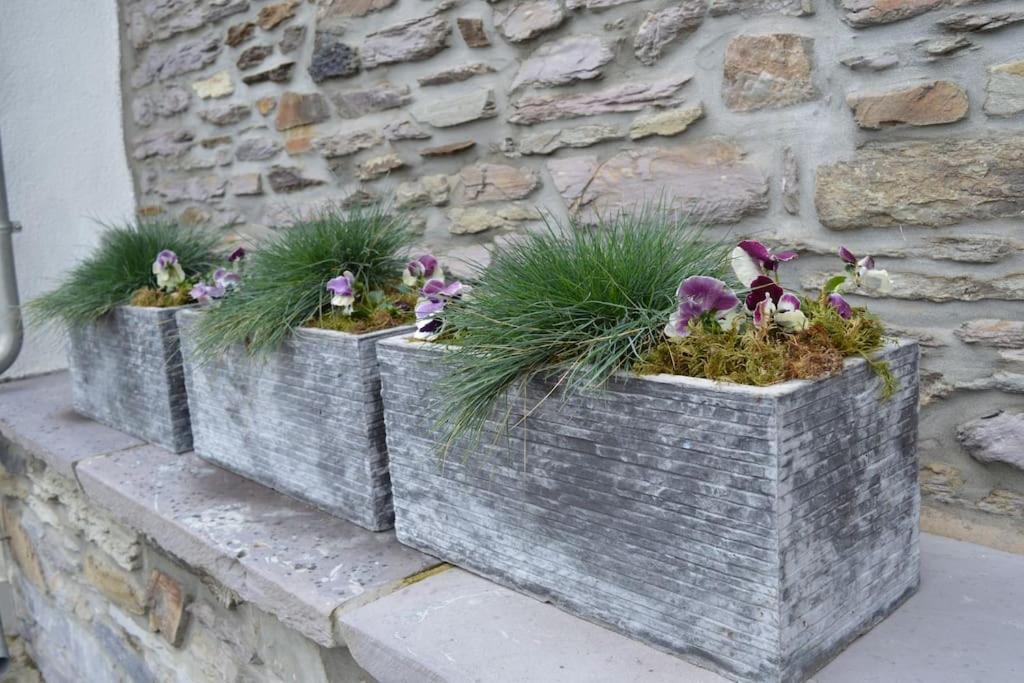 Zahrada ubytování Gîte La Forge