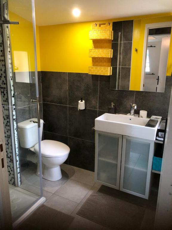 Koupelna v ubytování Chambre studio familiale la Brandonnière