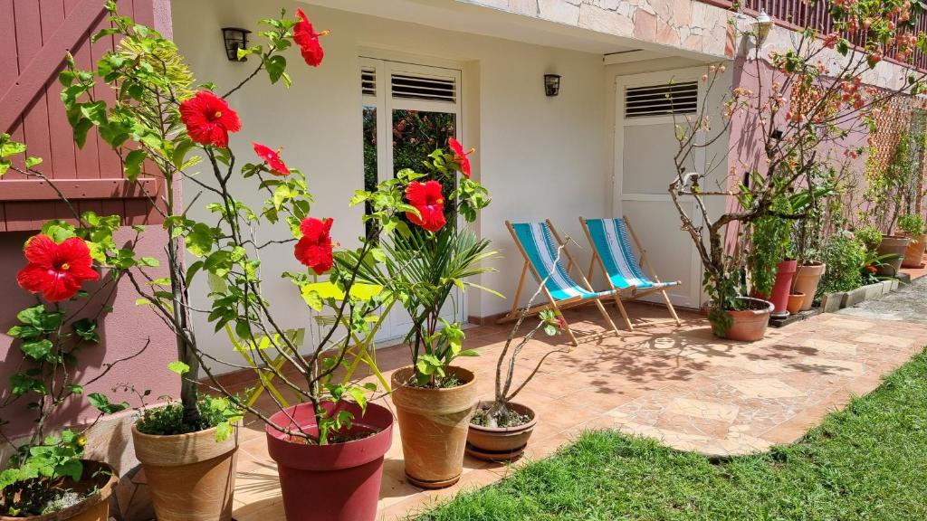 Zahrada ubytování La Visite Tropicale