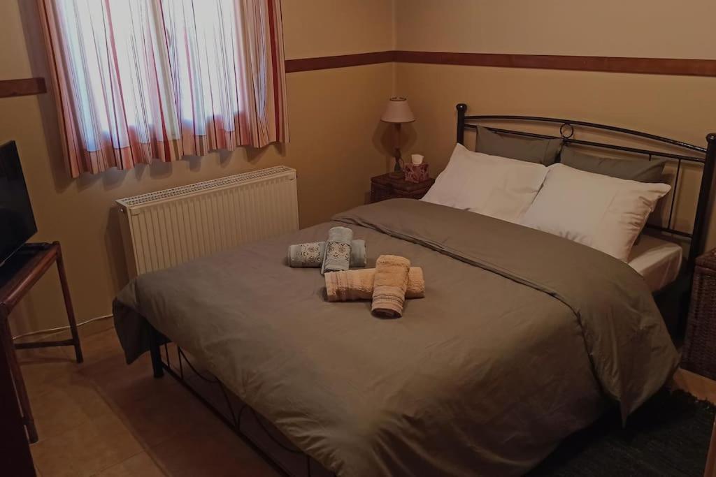 Fotografie z fotogalerie ubytování Irene's Cottage House v destinaci Kértezi