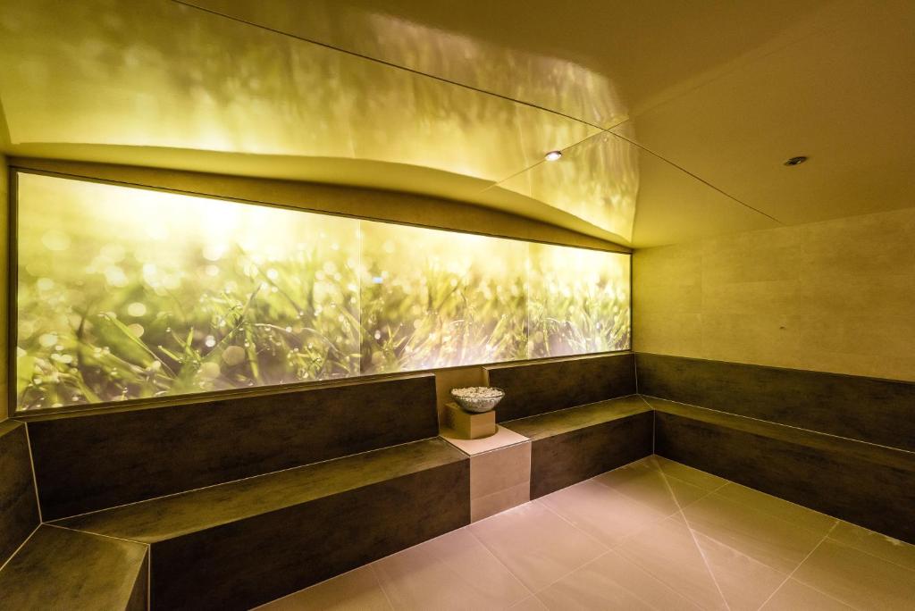 Nendaz 4 Vallées & SPA 4* Superior - Resim 36