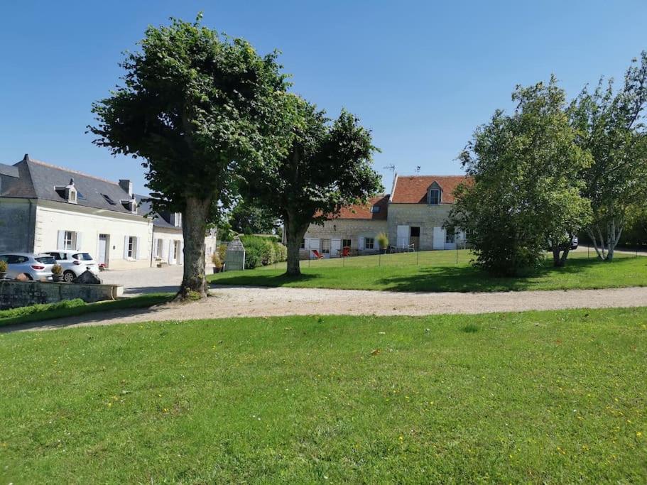 drzewo w ogrodzie obok domu w obiekcie Gîte des Basses Rivières w mieście Huismes