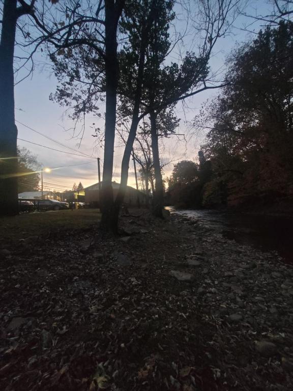 Economy Inn Sylva photo