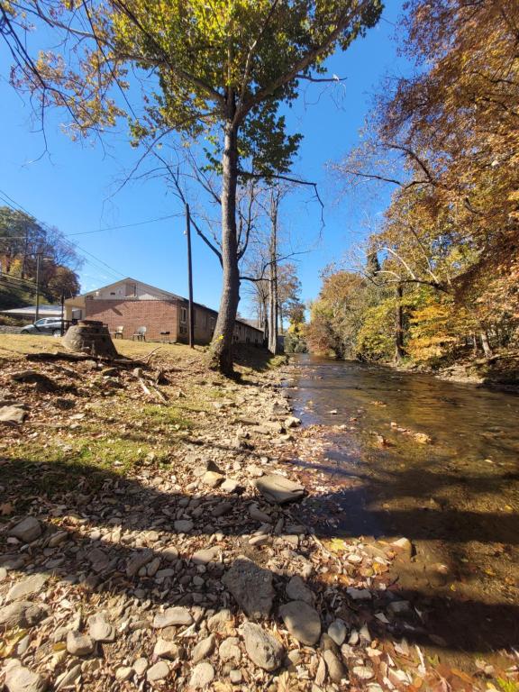 a tree on the side of a river at Economy Inn Sylva in Sylva
