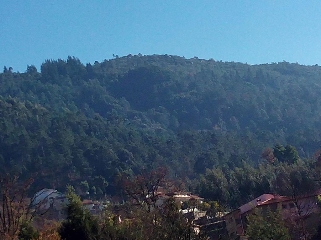 una colina cubierta de árboles con casas en ella en O Pimpao, en Gerês