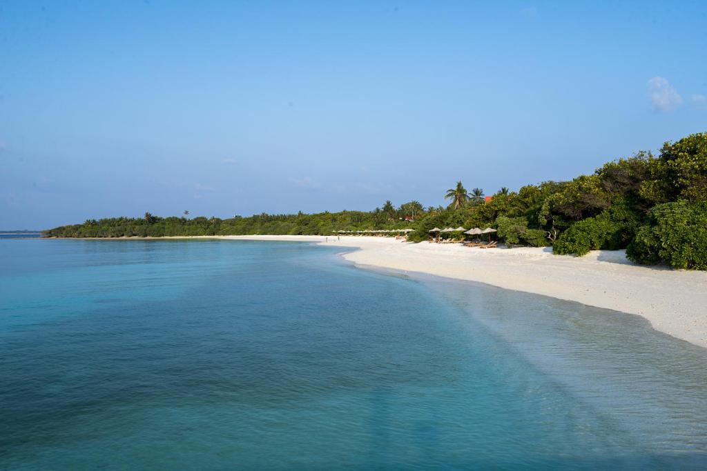 The Barefoot Eco Hotel - View 23
