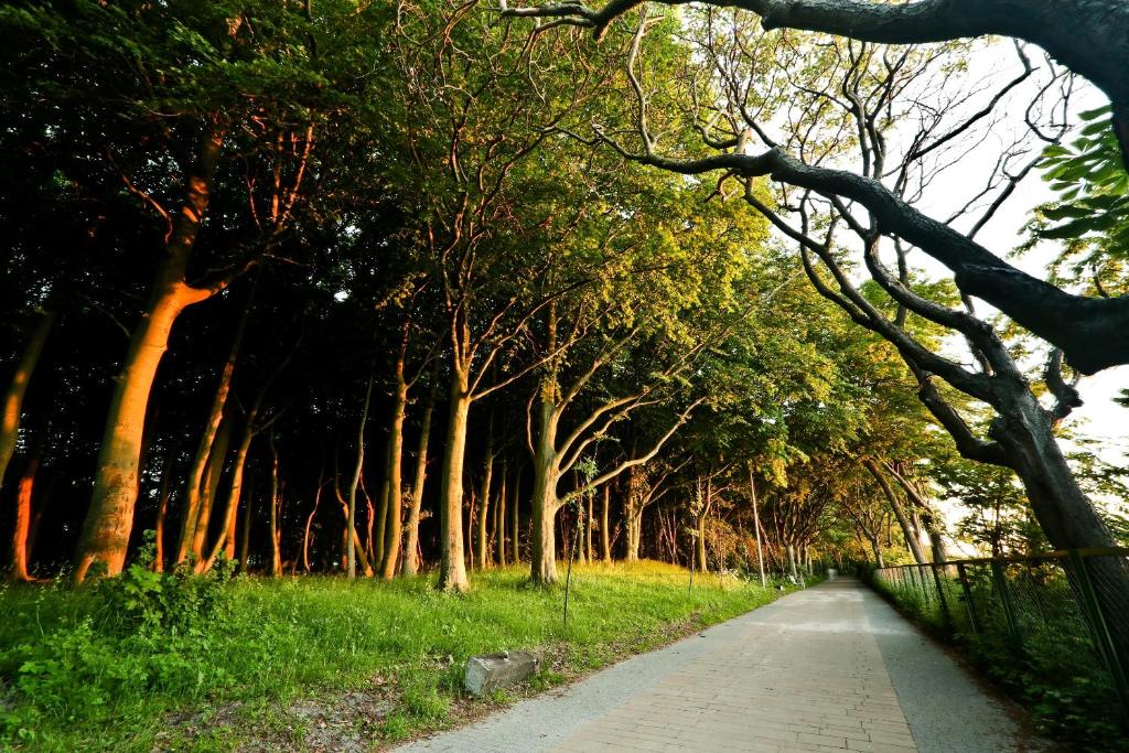 Diune Resort & Apartamenty - 16