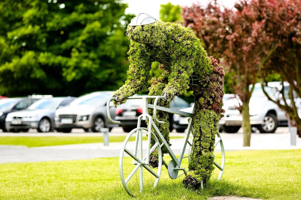 Diune Resort & Apartamenty - 17