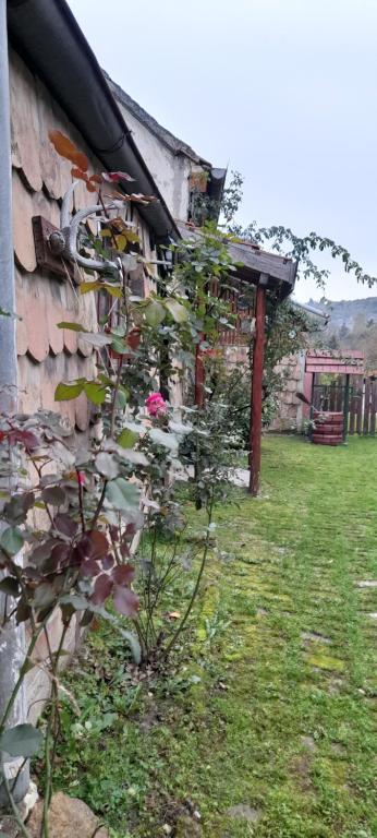 Fotografie z fotogalerie ubytování Kucerak kod Bobe Vrdnik v destinaci Vrdnik