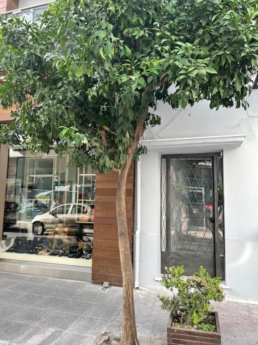 Fotografie z fotogalerie ubytování Volos City Center 2 v destinaci Volos