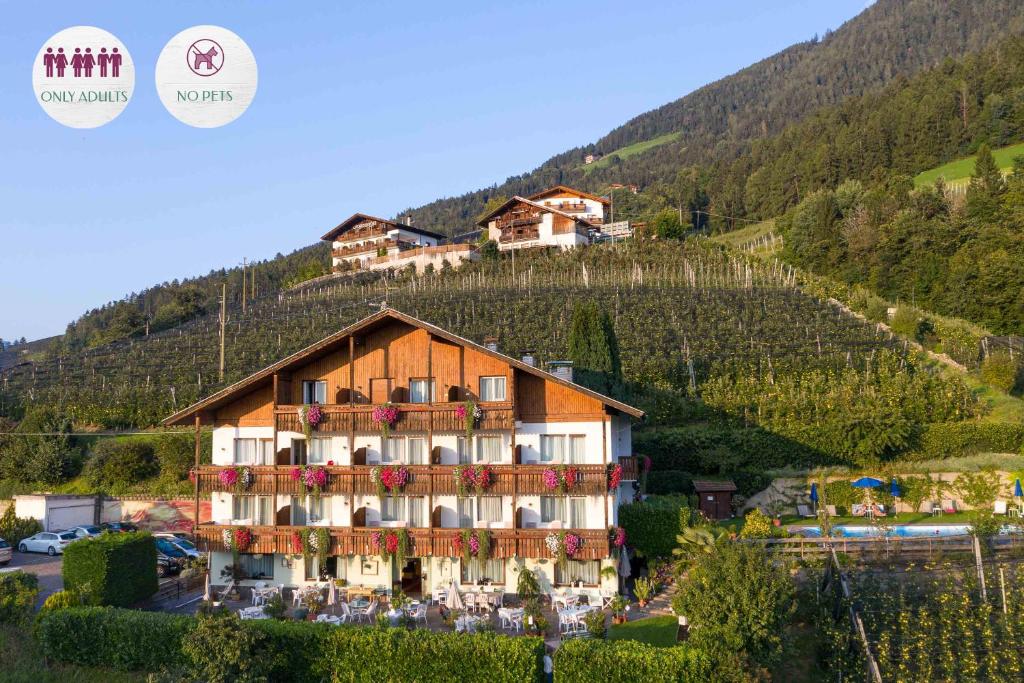 a hotel in a vineyard with a mountain in the background at Boutique Hotel St Georgen in Schenna