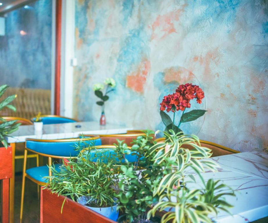 Fotografie z fotogalerie ubytování Vilu Rest v destinaci Hulhumale