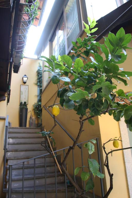 Derechos de imagen reservados por Booking.com