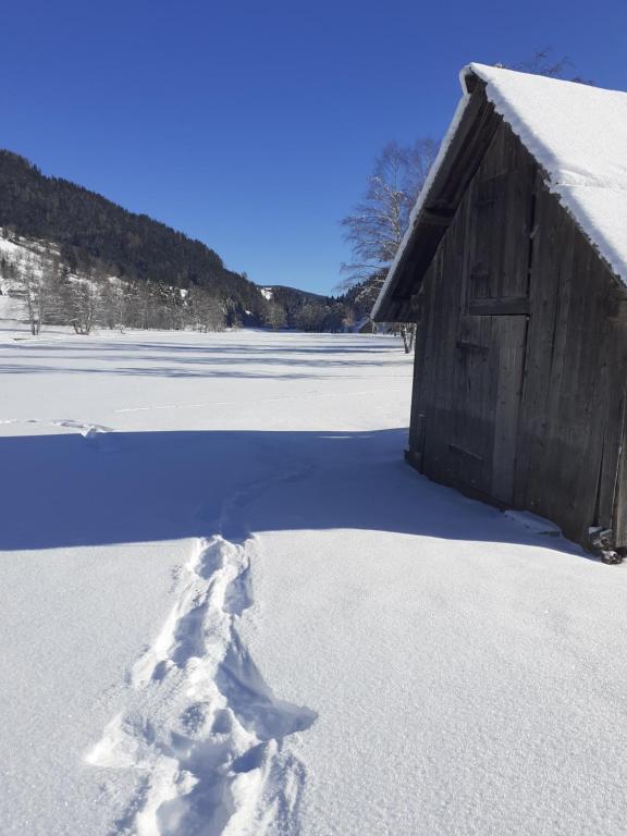 Chalet Catton Two Bedroom Appartement near Bad Kleinkirchheim v zimě