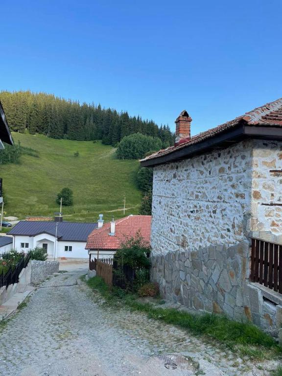 Příroda nedaleko apartmánu