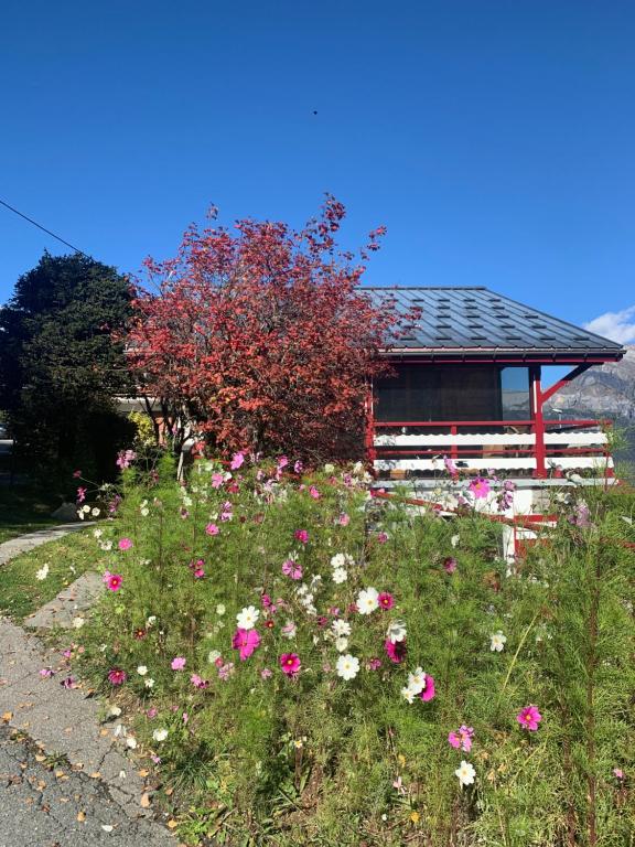 Zahrada ubytování CHALET MONT BLANC