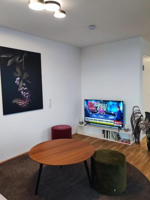 TV a/nebo společenská místnost v ubytování Wohlfühlapartments in Hard