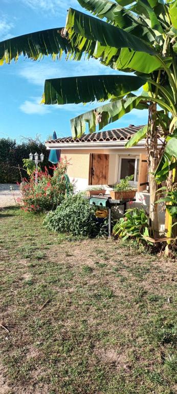 a house with a banana tree next to a yard at Location RDC logement T2 meublé in Saint-Avit-Saint-Nazaire
