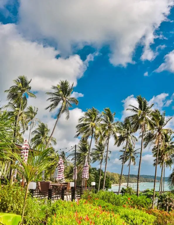Billede af Shantaa Koh Kood fra Booking.com