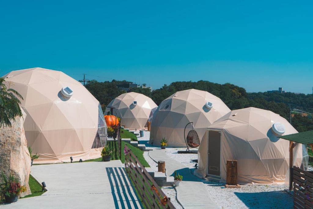 a group of domes with trees in the background at Blissful Garden - Vacation STAY 46330v in Shibukawa
