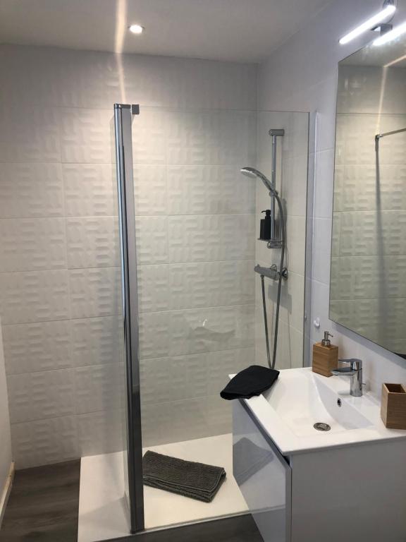 Kúpeľňa v ubytovaní Appartement cosy hyper centre colmar