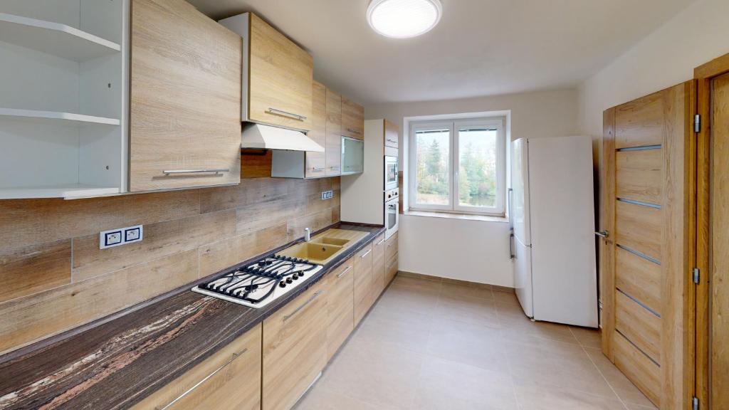 Kuchyň nebo kuchyňský kout v ubytování Apartmány U Mirase