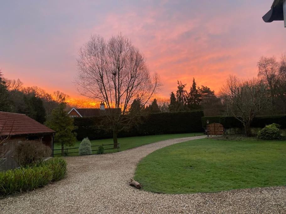 um pôr-do-sol num jardim com um caminho na relva em Owl Tree Cottage with access to Alice Holt em Farnham